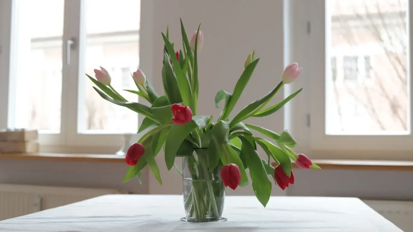 Ein Haus und seine Bewohner Blume auf Tisch