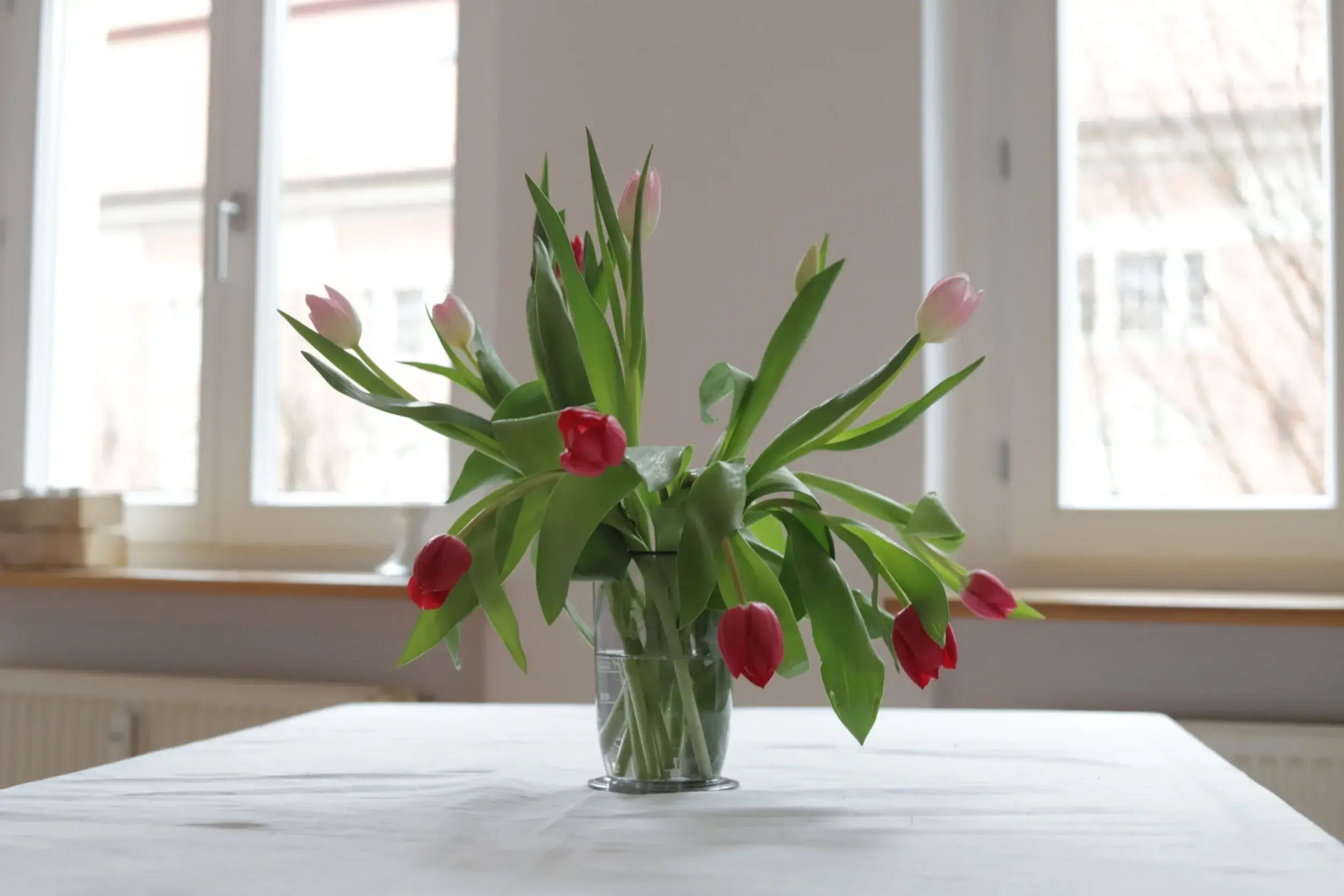 Ein Haus und seine Bewohner Blume auf Tisch